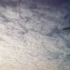 pdx sky 3