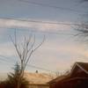 pdx sky 2