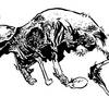 Shrike #3.5 illo #3