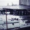 Dock Rot