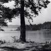 Doe Bay
