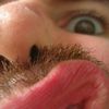 face forest