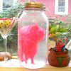 soon bok's expandable parents in a jar