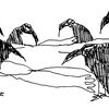 ghostcrows