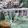 greenhouse outside