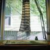 drape crane
