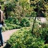 joseph garden