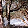 madrona point 3