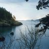 otter cove 2