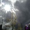 Spring hits Portland