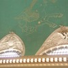 Grand Central Station ceiling