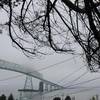 tree kicks bridge ass