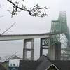 bridge beats off tree, barely