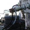 dogbot