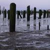 piling cemetary