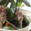 Soldiers of Monoject