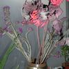kitchen window bouquet