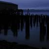 Rotting Pilings