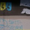 shit-storm