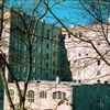 trees vs building